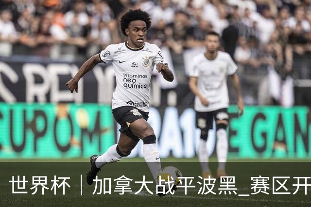 世界杯｜加拿大战平波黑 赛区开幕式表演“翻车”